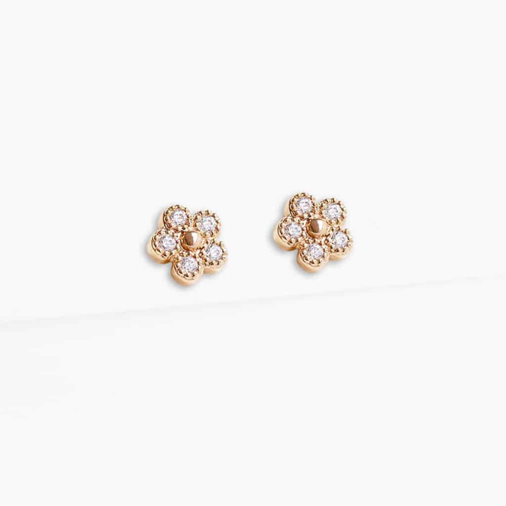 Puces Bouton d'or