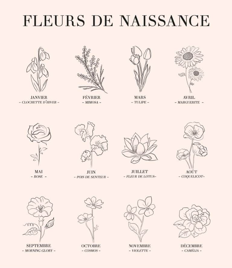 Votre fleur de naissance Graazie